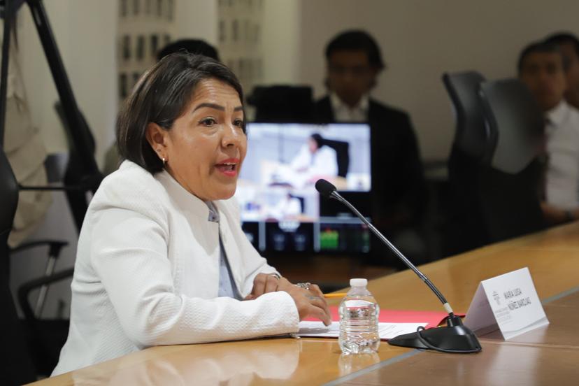 VIDEO Pide María Luisa Núñez transparencia en la renovación de la CDH Puebla