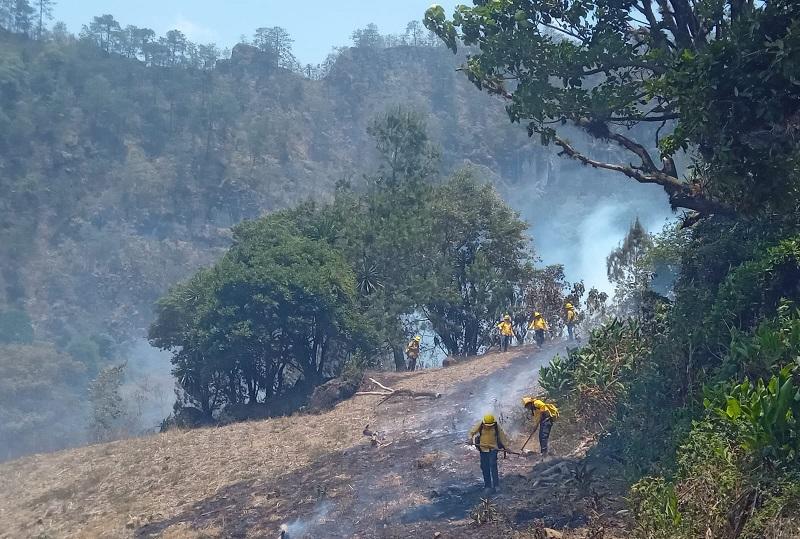 Suben a 29 los incendios forestales activos en Puebla, confirma Céspedes