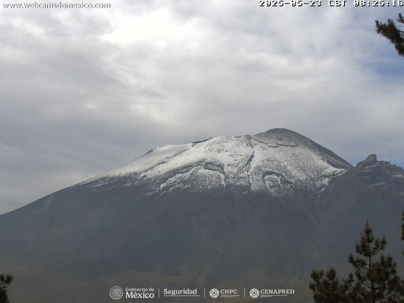 Popocatépetl sigue con actividad moderada al registrar 50 exhalaciones