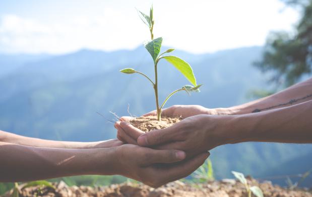 Tlaxcala y Puebla trabajarán a favor del medio ambiente 