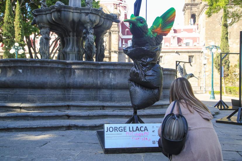 VIDEO Mi cuerpo mi decisión en escultura de Proyecto Colibrí