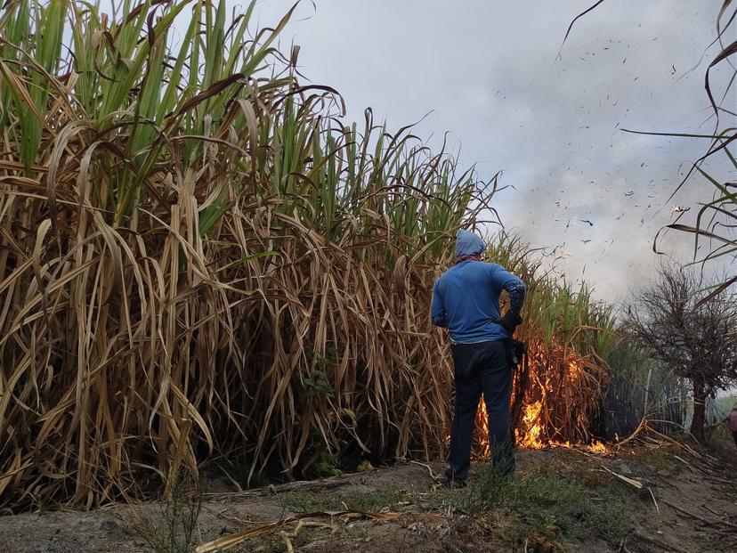 Ingenio de Atencingo ya se prepara para la zafra  