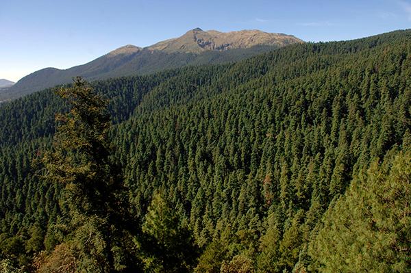 Conservación de Áreas Naturales Protegidas requiere mayor integración sociedad-gobierno
