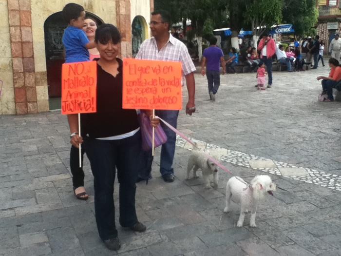 Identifican y citan a declarar a maltratador de animales en Texmelucan