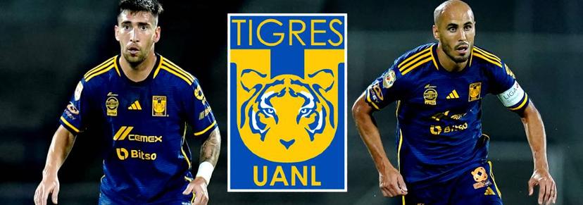 Guido y Gorriarán, el equilibrio y la garra de Tigres