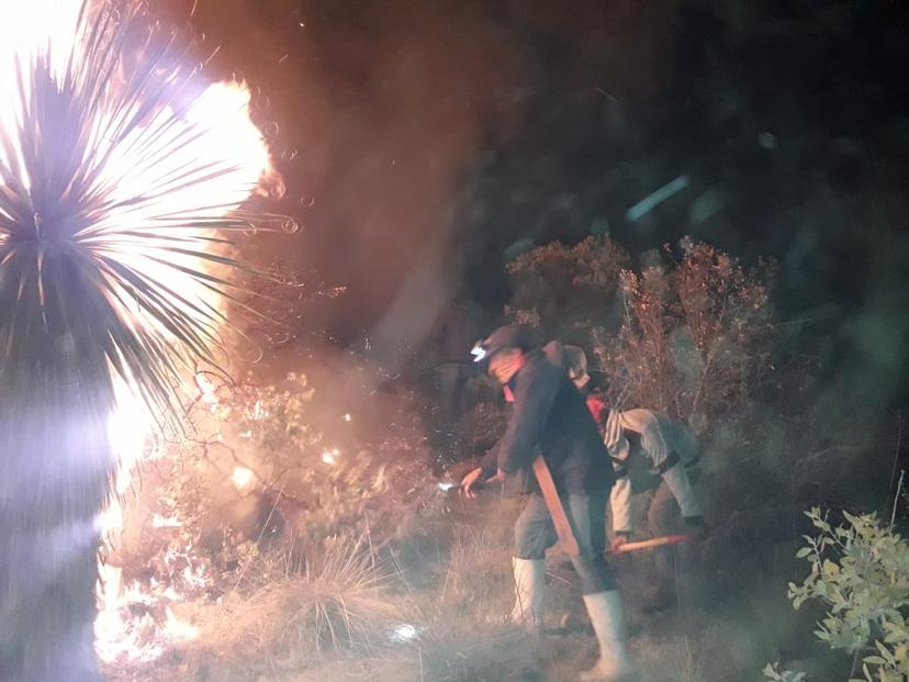 Incendio consumió 500 hectáreas en Tlachichuca