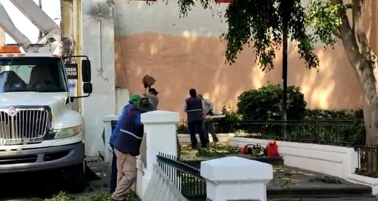Suman 120 derribos de árboles por generar riesgos en Puebla capital