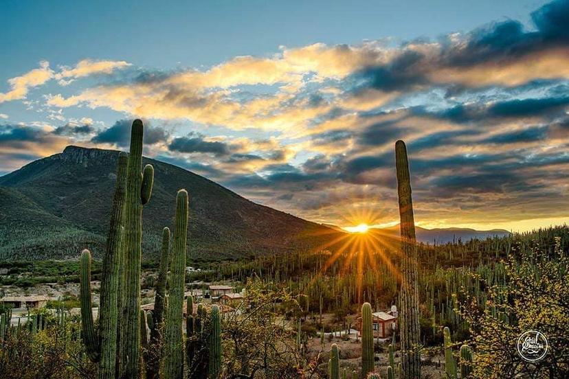 Un recorrido entre la naturaleza, respirando vida en la Biosfera de Tehuacán