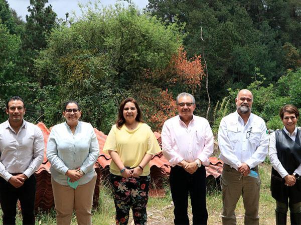 Reforestarán Sierra Norte con 21 mil árboles, anuncia Medio Ambiente