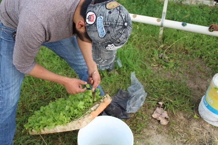 Ayuntamiento de Puebla brinda insumos del Modelo Integral de Agronegocios