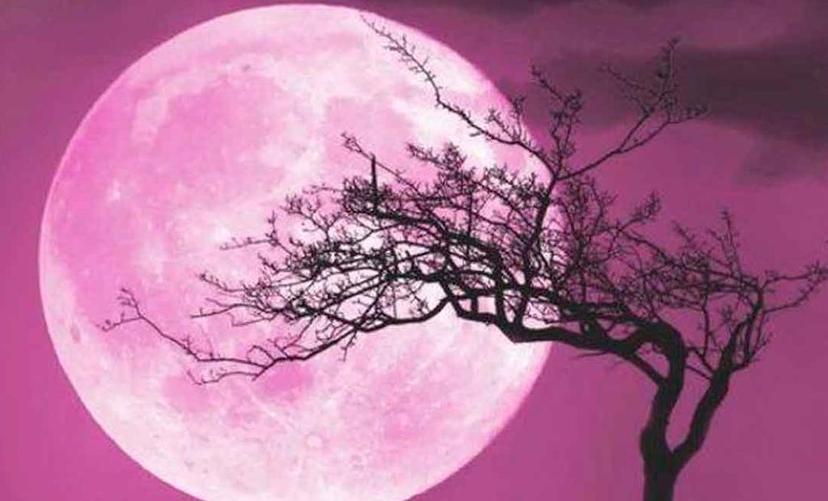 Prepárate para la Luna Rosa en México