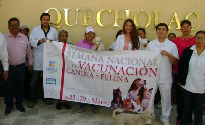 Inicia en Quecholac la Semana Nacional de Vacunación Antirrábica