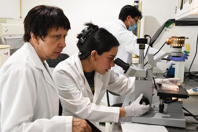 Con modelos computacionales, investigadores BUAP predicen y  la regeneración epitelial