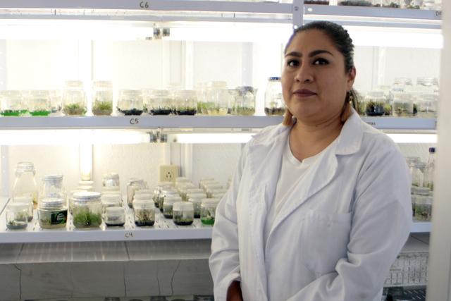 Jardín Botánico de la BUAP salva árboles en peligro de extinción
