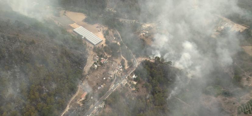 (FOTOS) Tetela de Ocampo: fuego salta de basurero y se convierte en incendio forestal