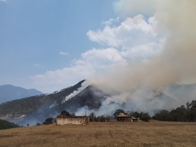 (FOTOS) Tetela de Ocampo: fuego salta de basurero y se convierte en incendio forestal