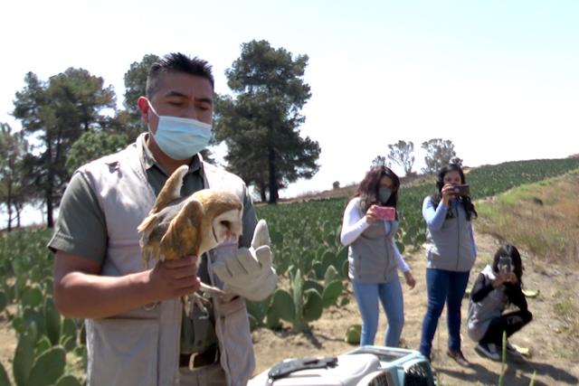 En 6 años Uma Konkon de la BUAP reintegra a su hábitat a casi 50 aves