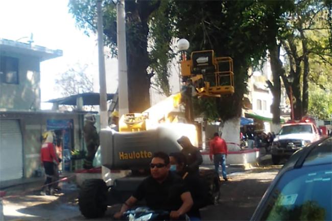 Abejas pican a personal del Ayuntamiento de Texmelucan y mandan a uno al hospital