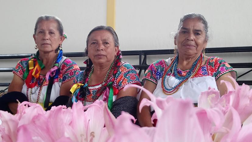 Celebran día del abuelo en Zacapoaxtla