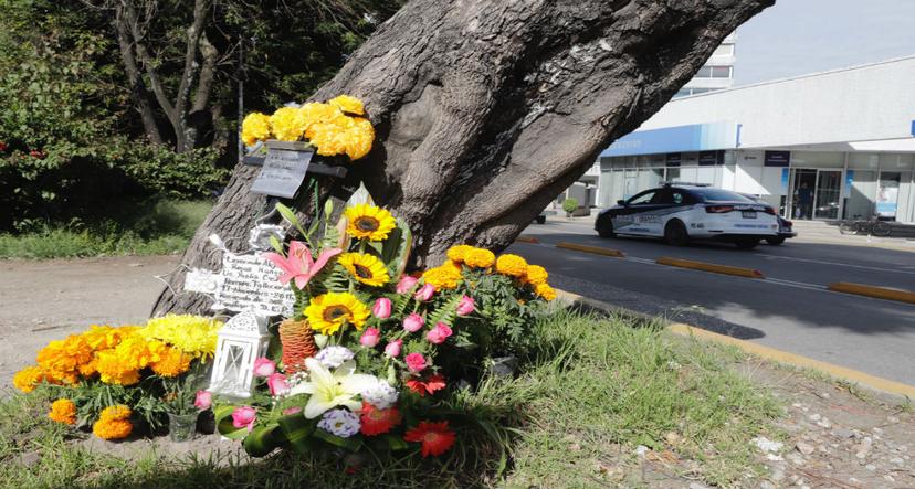 Hoy se llenan de flores las calles para recordar a los accidentados 