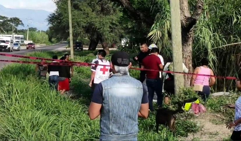 Muere motociclista al chocar contra árbol en Tehuacán 