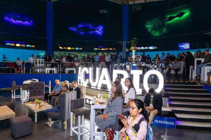 Cierran Acuario de Veracruz para fiesta privada; en riesgo las especies