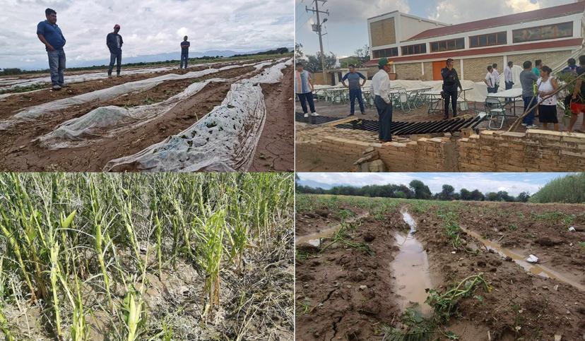 Tromba en Ajalpan destroza cultivos de hortalizas y maíz