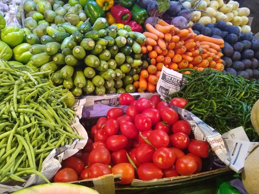 Agricultores de Tehuacán siembran hortalizas en sus casas ante contingencia 