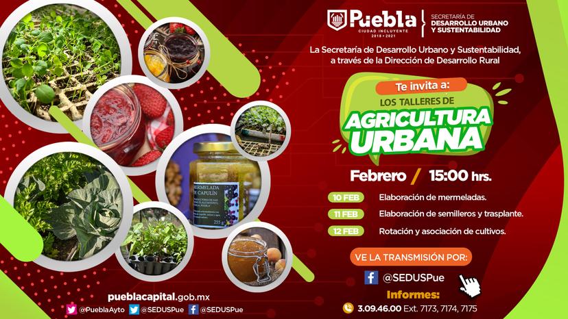 Ayuntamiento de Puebla ofrece talleres virtuales de agricultura urbana