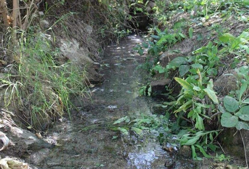 Tehuacán con gran demanda de agua y con grado de sequía alto 