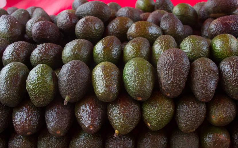 Kilo de aguacate y pollo llega a 90 pesos en Izúcar