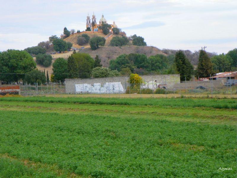 SDR beneficia con insumos a 350 productores de San Andrés Cholula