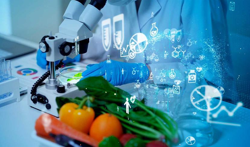 Es importante establecer bases mínimas comunes que aseguren alimentos sanos