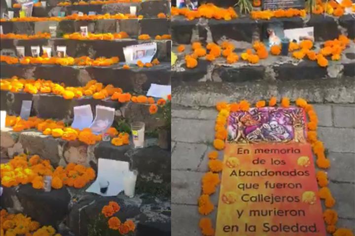 Causa buena impresión ofrenda de mascotas en atlixco