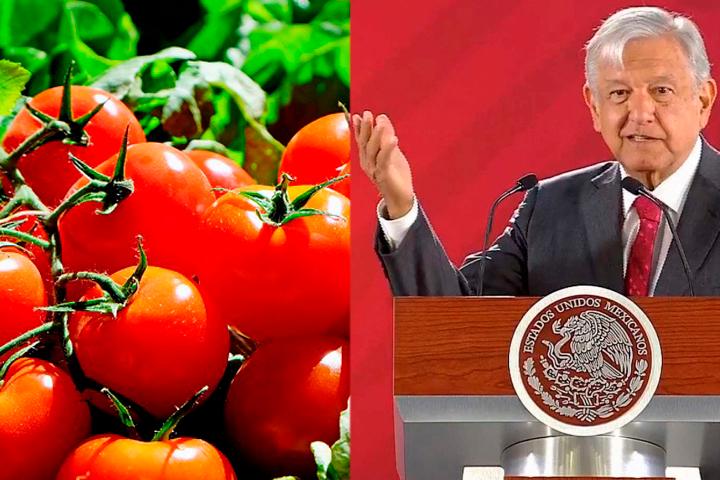 Injusto el arancel de EU al tomate mexicano: AMLO