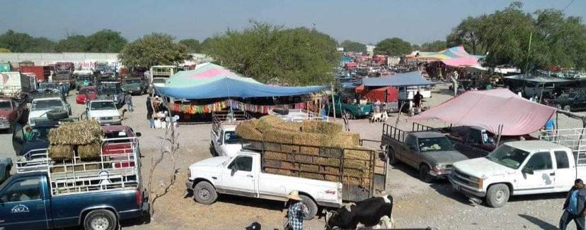 Suspenden la plaza de animales de Zozutla en Yehualtepec