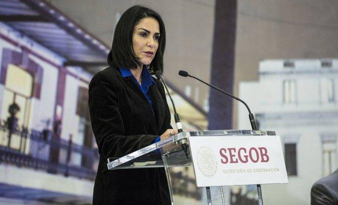 Vamos por 20 años de cárcel para Marín: Lydia Cacho