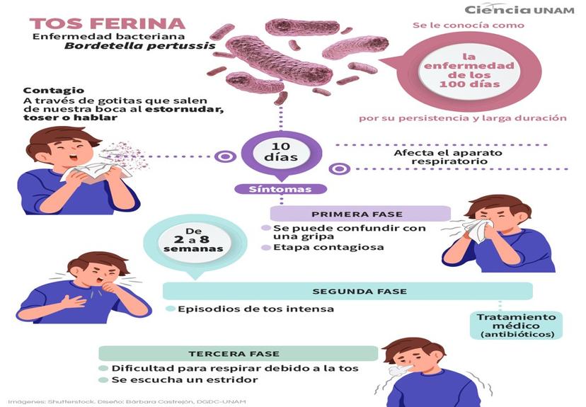 En aumento los casos de tosferina en México