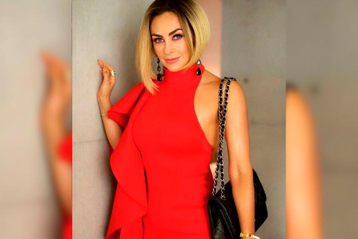 Asegura Araceli Arámbula que Luismi se desentendió de sus hijos