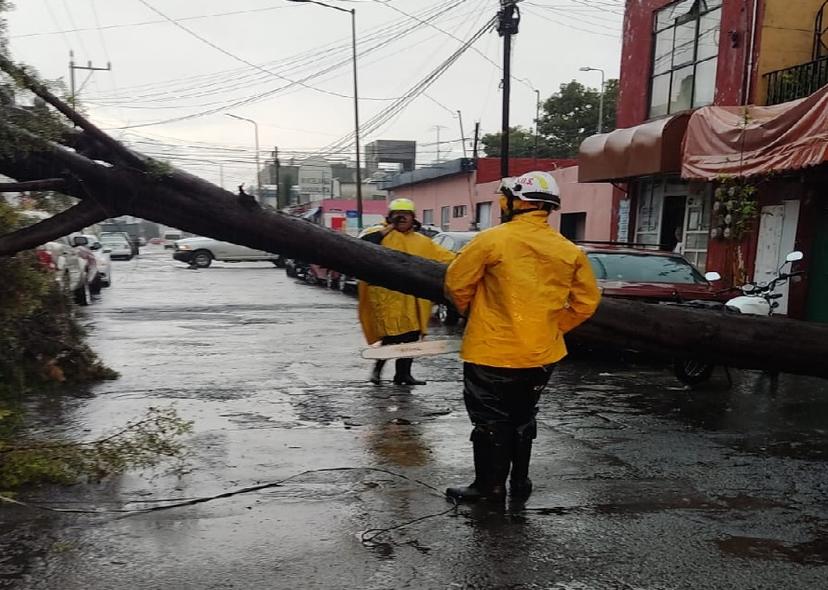 Este miércoles, lluvias y granizada provocan caída de árbol e inundaciones en la capital