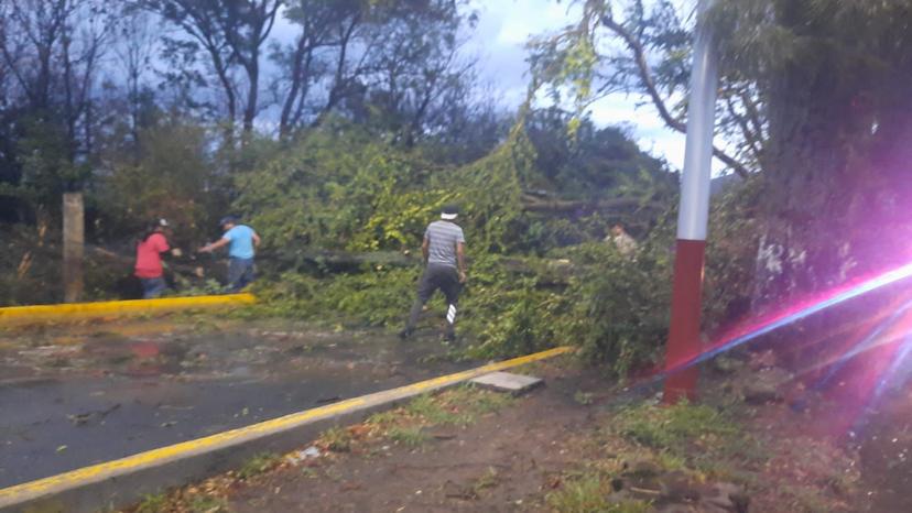 Lluvias derrumbam árboles y bloquean acceso a Huaquechula