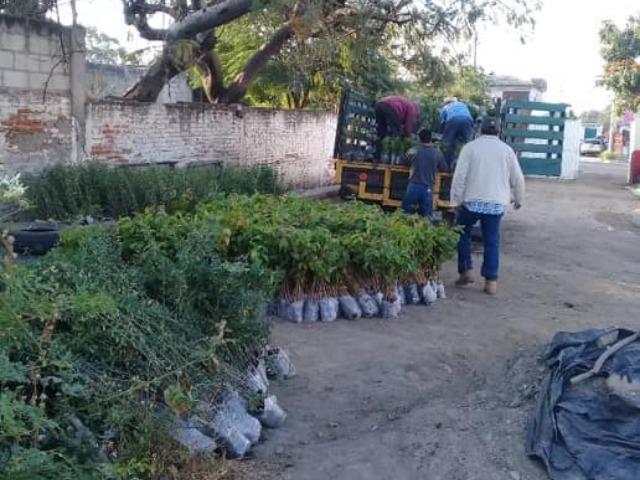 Alistan en Izúcar de Matamoros la reforestación de 2 mil 500 hectáreas