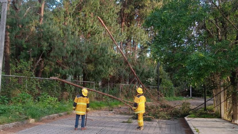 Fuertes vientos tiran árboles y techos en Huahuchinango