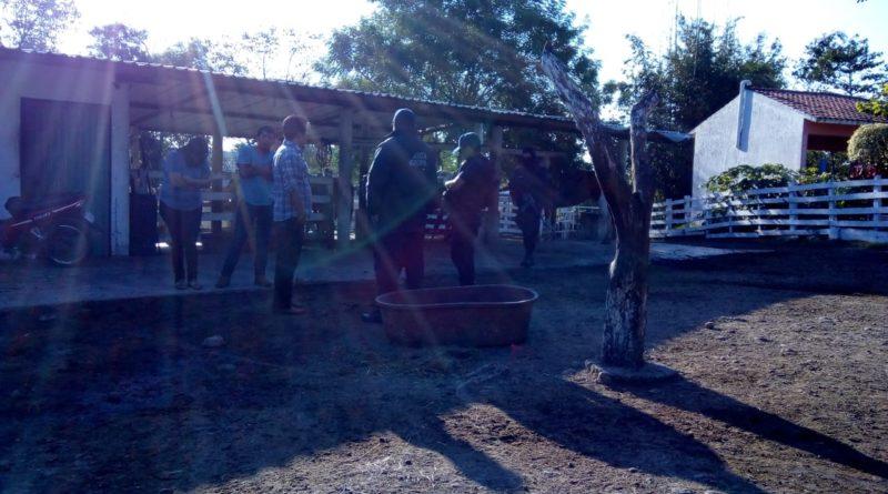 Policías falsos roban tráiler con 68 toneladas de cemento