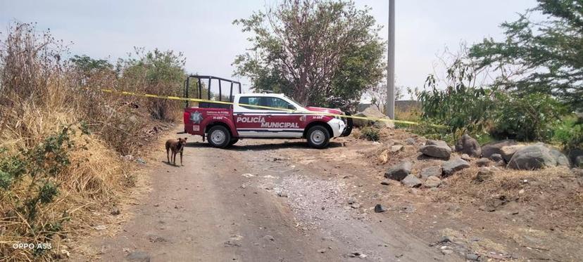 Encuentran cuerpo sin vida al sur de la mancha urbana de Atlixco