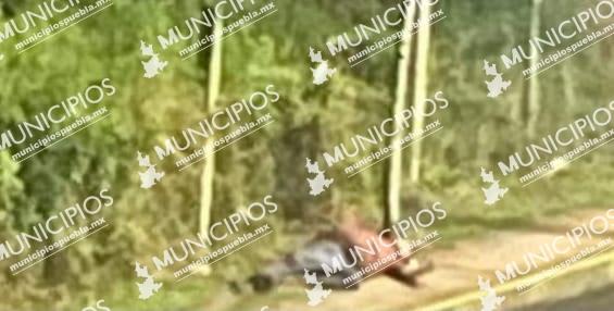 Dan muerte a presunto ladrón en Huauchinango