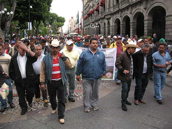 Crisis cañera afecta a 80 mil personas en la Mixteca poblana