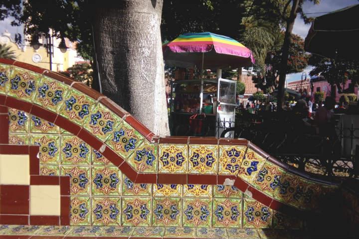 Incontrolable, plaga de aves en el zócalo de Atlixco 