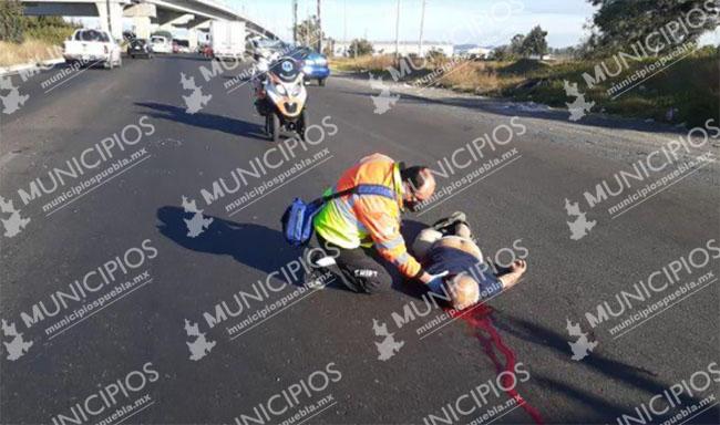 VIDEO Auto embiste y mata a abuelito en la autopista México-Puebla