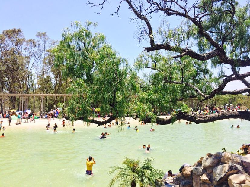 VIDEO: Conoce el parque Amalucan, el más grande de la capital 